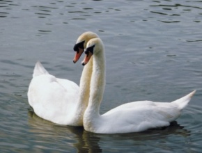 Ce Que Dieu M A Appris Au Sujet Du Sexe Pouvoirdechanger Com